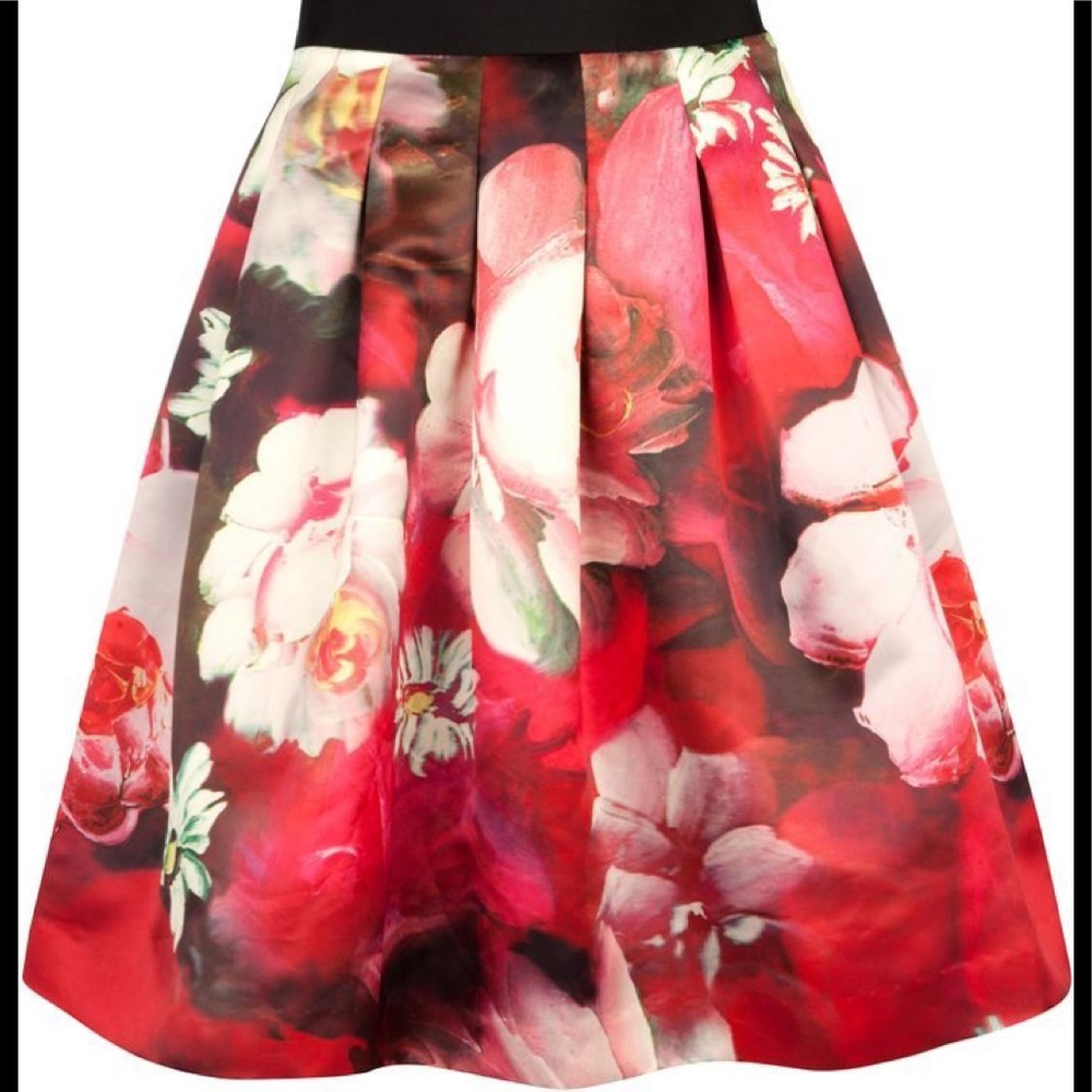 Ted Baker ‘Monny - Rose on Canvas' Full Skirt